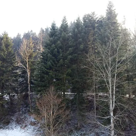 Apartment Kleine Oase Der Gemuetlichkeit, Fuer Bis Zu 7 Gaeste *